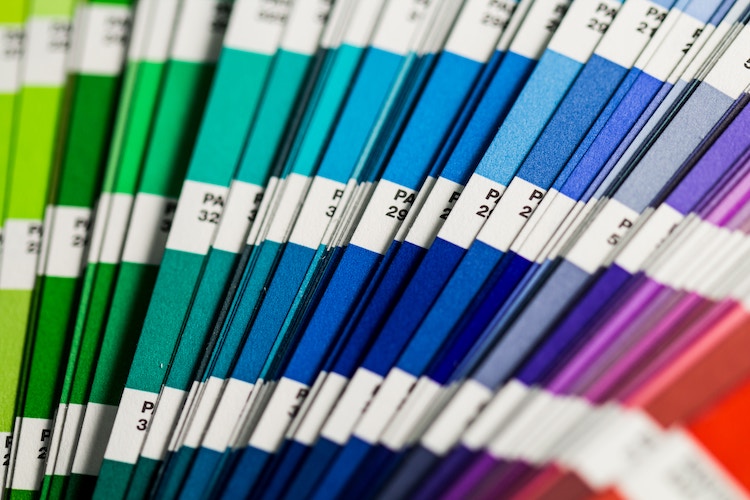 variety of color swatches